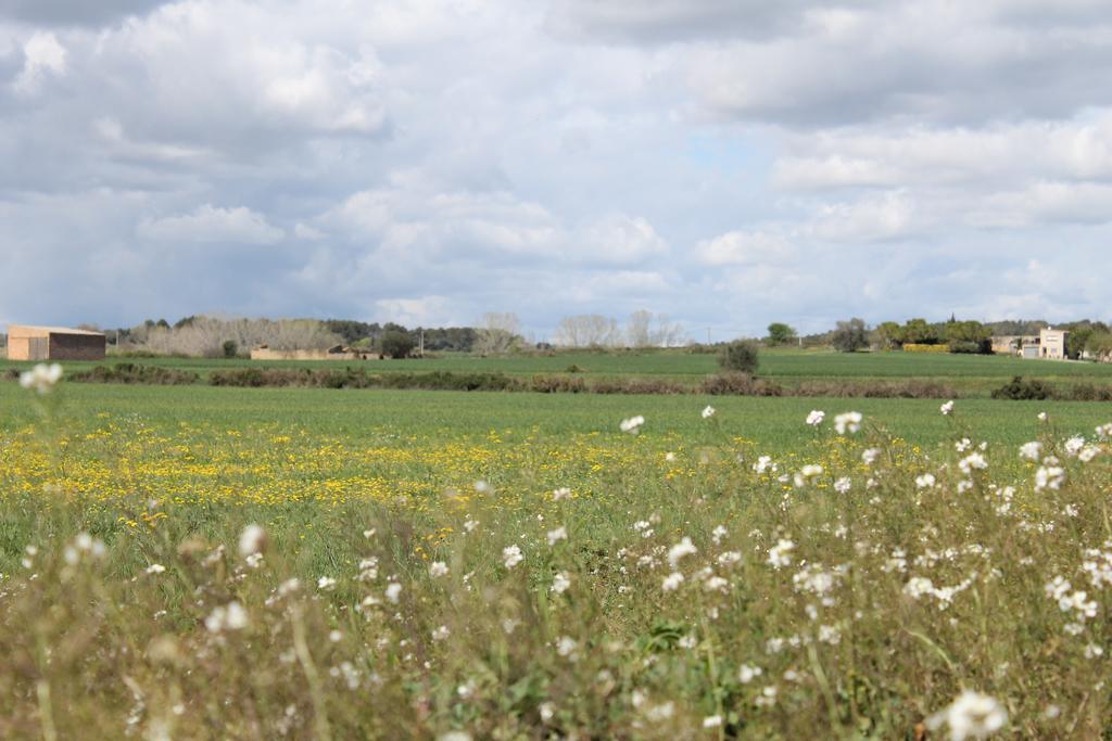 Appartement Allotjament Activitats Bora Bora-Empordà à Verges Extérieur photo